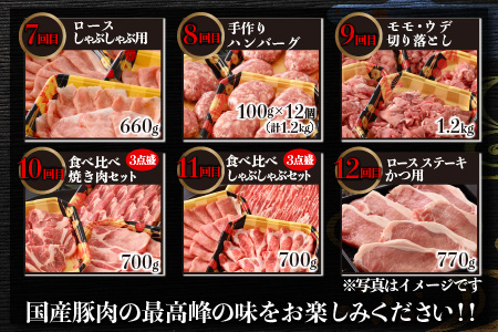 【肉の定期便×12回コース】肉好き大集合！臭みゼロの豚肉「荒島ポーク」食べ比べ 定期便 【福井のブランド豚肉】[K-054001]