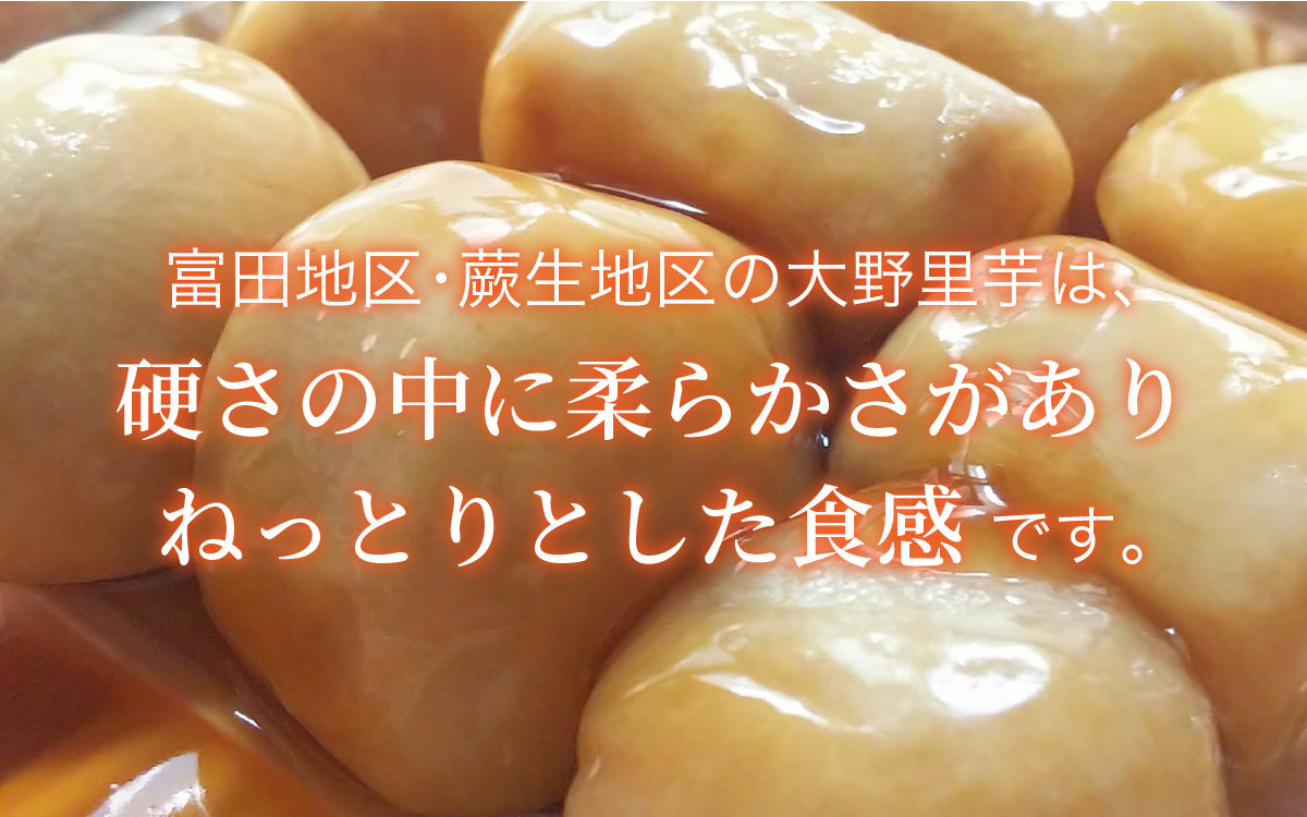 大野の里芋とたんちょう餅の詰め合わせA（里芋3kg+丸餅8個入り×1袋）【2025年11月30日より順次発送】