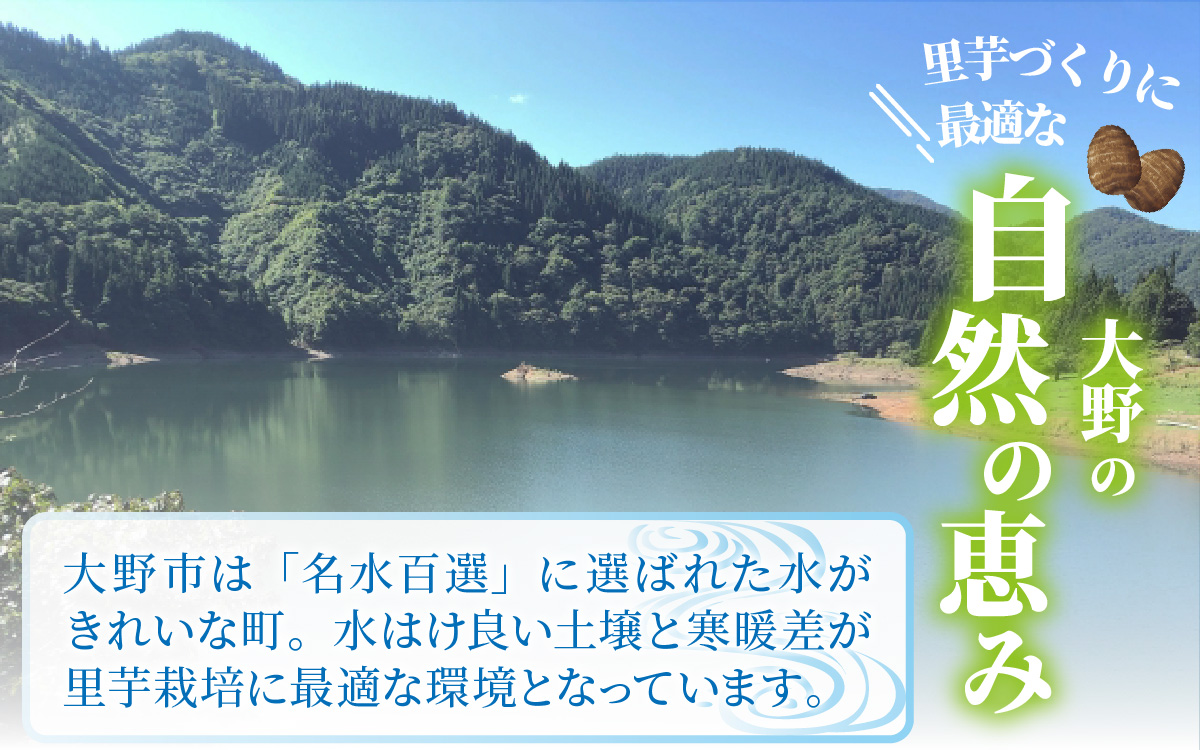 奥越明成高校協力!!　旨味たっぷり上庄の里芋【土付】3kg [A-001079]