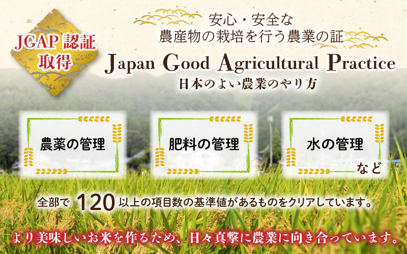 【先行予約】【令和7年産 新米】福井県大野市産 JGAP認証 コシヒカリ「あかね」5kg（2.5kg×2）小分け