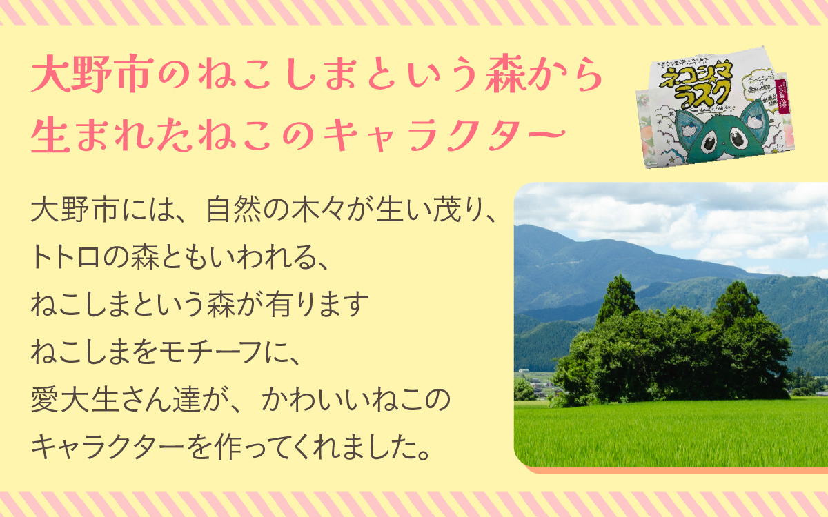 ねこしまラスク（どら焼きラスク）（学生さんとのコラボ返礼品です！）