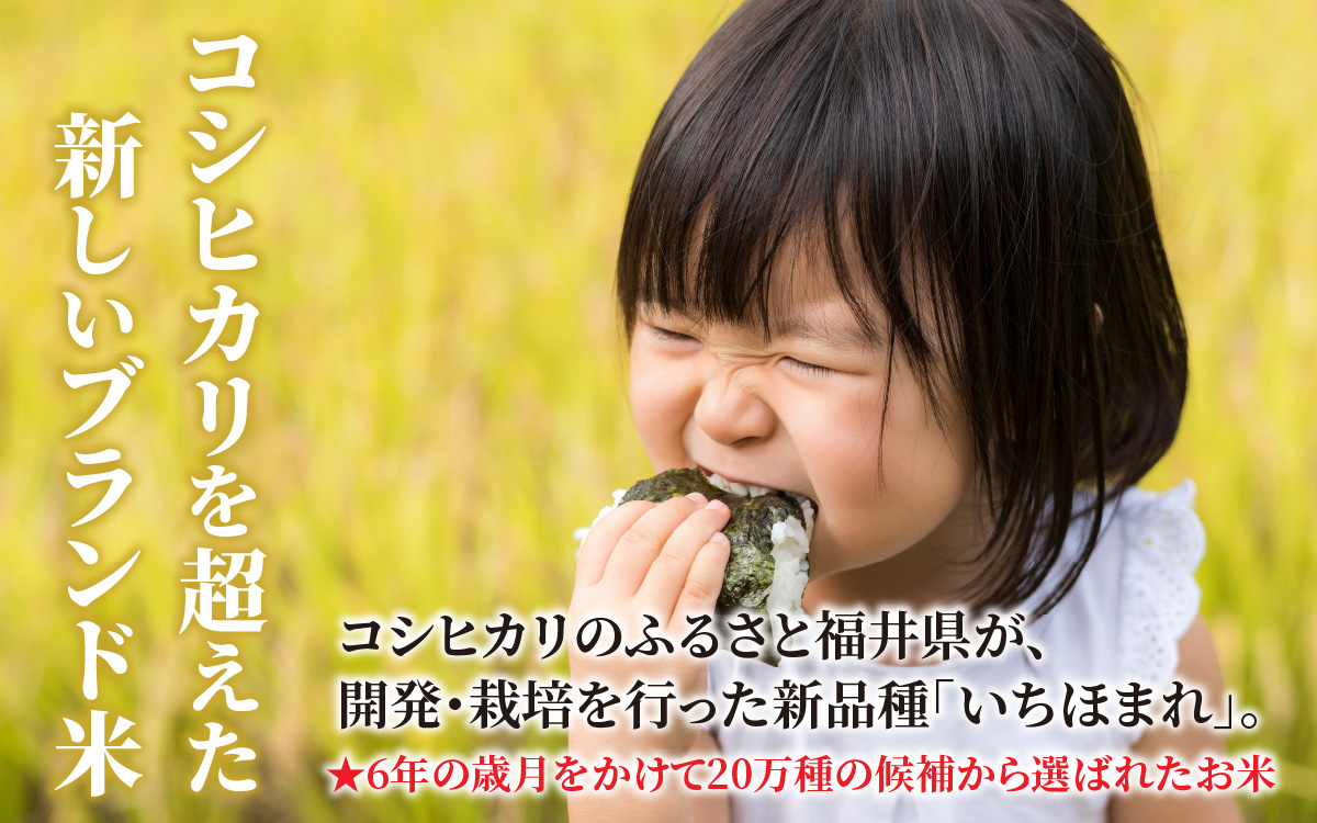 【令和7年産 新米】福井県産 いちほまれ（白米）5kg