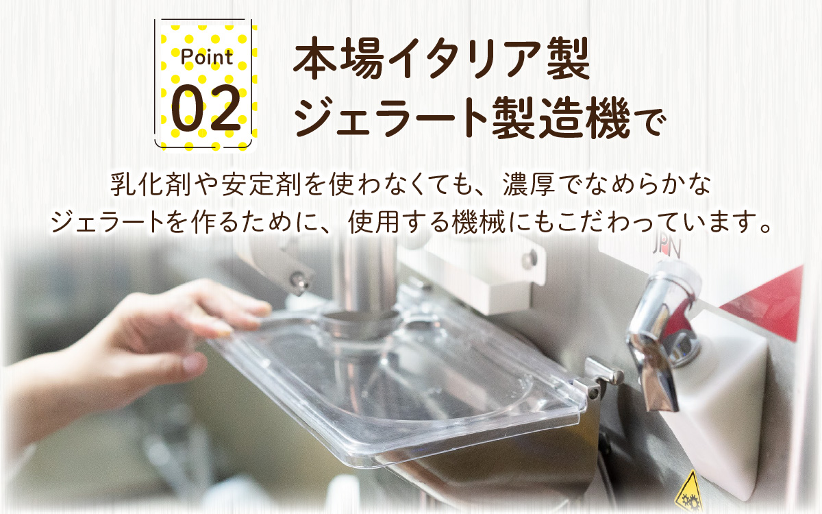 越前大野の「名水ジェラート」 おまかせ16個セット