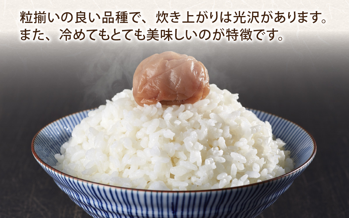 【4ヶ月定期便】【令和7年産 新米】福井県認証の特別栽培米 コシヒカリ  5kg×4回（計20kg））