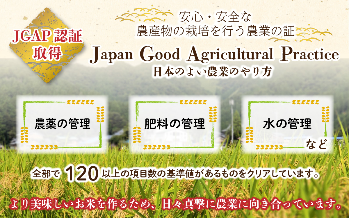【先行予約】【令和7年産 新米】【3ヶ月定期便】福井県大野市産 JGAP認証 コシヒカリ「あかね」（白米）10kg（5kg×2袋）×3回　計30kg