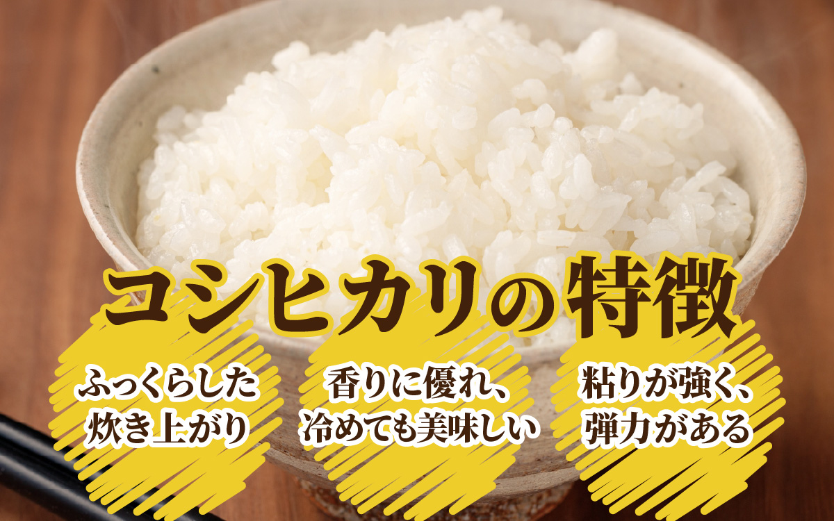 【3ヶ月定期便】【令和7年産 新米】大野産コシヒカリ（白米）10kg×3回 計30kg【大野ブランド米 名水育ち】
