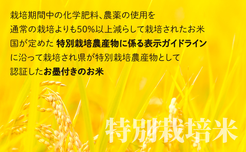 【令和7年産】【3ヶ月定期便】こしひかり 20kg ×3回 計 60kg【白米】　減農薬・減化学肥料 「特別栽培米」－地球にやさしいお米－ [N-003005]