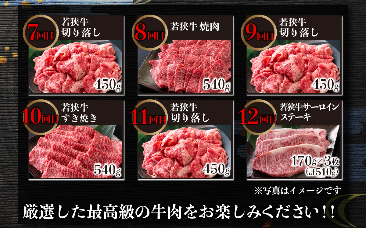 【肉の定期便×12回コース】肉好き大集合！若狭牛食べ比べ 定期便！【福井のブランド牛肉】【4等級以上】[O-054001]