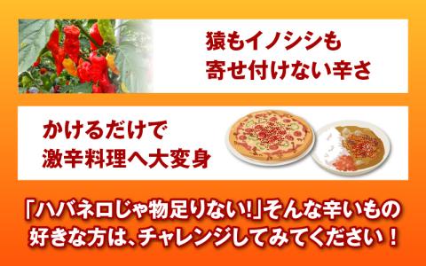 【激辛！食べ比べ】ジョロキング　３種類（一味・七味・九味）３本セット