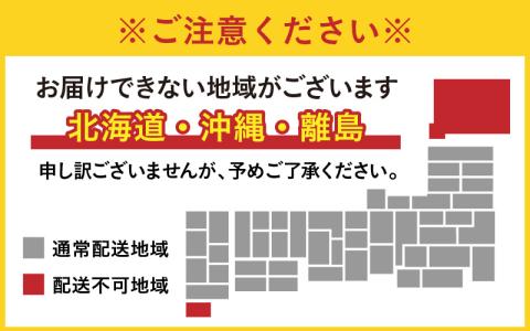 越前おおの　毎川金花堂　でっち羊かん小サイズ（500g）×2箱