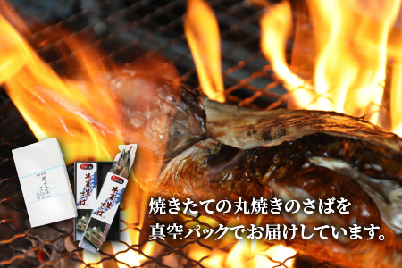 名水の里越前大野の「半夏生さば」1本×2箱[A-011015]