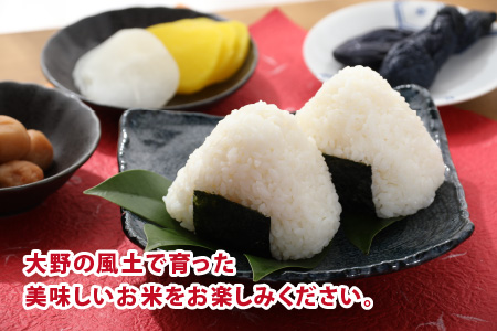 【令和7年産 新米】棚田清流米コシヒカリ  5kg×2袋[B-011002]