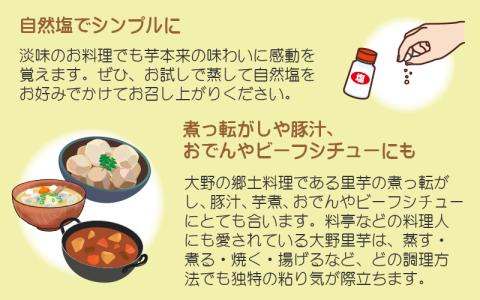 希少！とみた里芋 5kg ねっとりまろやか煮崩れなし！【11月～年内出荷】 [A-001048]
