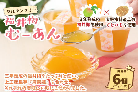 【アレルギー対応スイーツ】まなひめさまセットA（里芋ベースのゼリー風スイーツ&アレルギー特定原材料8品目不使用のアイス）【グルテンフリー】[A-031005]食物繊維 体に優しい 脂肪分ゼロ 上庄里芋