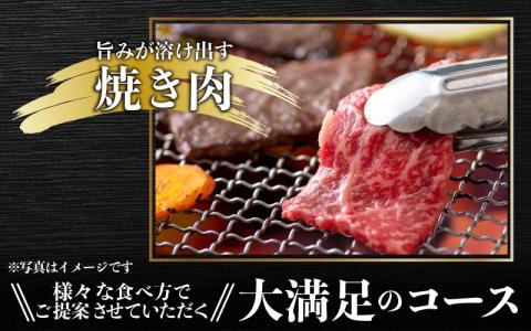 【肉の定期便×3回コース】肉好き大集合！若狭牛 食べ比べ 定期便！【福井のブランド牛肉】【4等級以上】[E-054003]