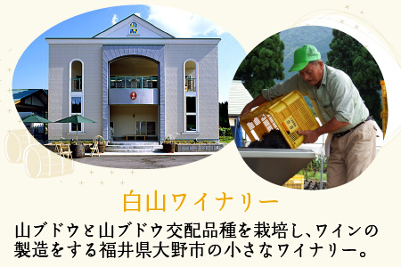 シュール・リー樽　（白ワイン） [A-021009]