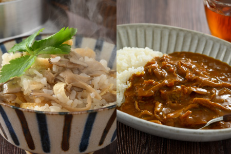 九頭竜まいたけとカレー・ごはんの素など加工品セット(Cセット)[A-038006]