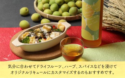 花垣 純米の梅酒 FEEL 500ml
