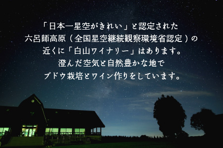 星のふるさとワイン 赤・白セット[A-021010]