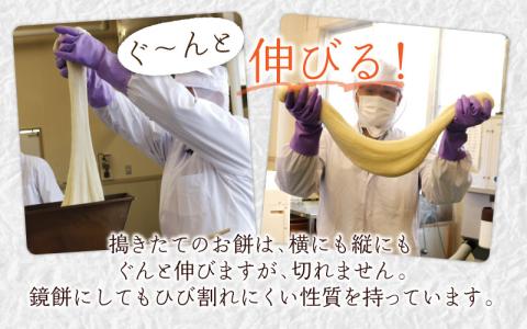 【年内配送】杵つき餅セット 32個 1.5kg分 丸もち 角もち 大野産たんちょうもち米【12月24日までの入金確認分は年内お届け】[A-011012]