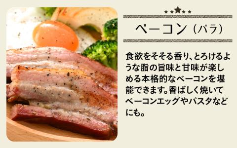 ブランド豚 荒島ポークの味わい極みセット[C-048002]