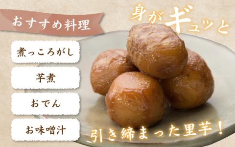 【先行予約】【訳あり】越前大野産 「純ちゃん農園の里芋5kg」サイズS～LL寸【10月下旬より順次発送】