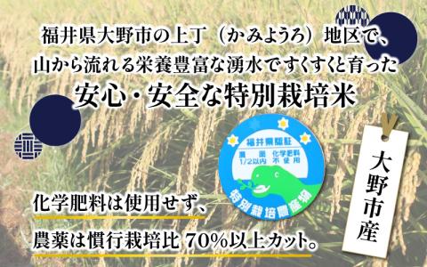 【令和7年産 新米】ベストファーマー ほたるの里 特別栽培こしひかり 4kg（2kg × 2袋） ＋ かぐらもち米 1.4kg 化学肥料不使用 農薬70％以上カット [A-002002]