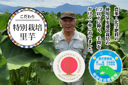 【先行予約】【年内発送】減農薬・減化学肥料の特別栽培里芋上庄里芋 土芋5kg 農家直送【10月～年内出荷】