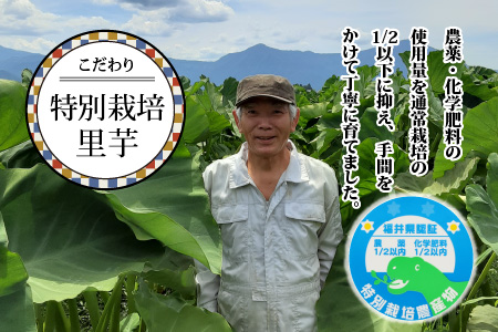 【皮むき不要】減農薬・減化学肥料の特別栽培里芋 上庄里芋 冷凍 洗い子 2kg（500g×4袋）【10月～年内出荷】