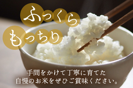 【令和5年産】福井県大野市産 コシヒカリ 白米 精米 10kg 農家直送 [A-013012]