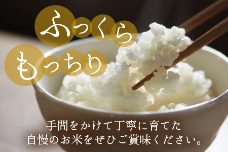 【令和5年産】福井県大野市産 コシヒカリ 無洗米 3合×10パック（4.5kg）小分け アウトドアにもおすすめ 農家直送  [A-013003]