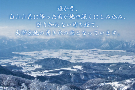 【12ヶ月連続お届け】奥越前の水 PET2L×6本 計72本[H-036001]