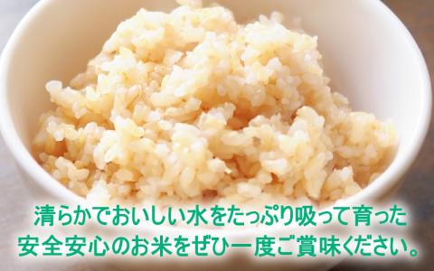 【先行予約】【令和7年産 新米】減農薬・減化学肥料の特別栽培コシヒカリ 玄米 5kg 農家直送 福井県大野市産