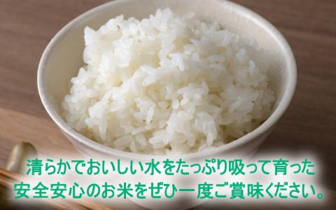 【先行予約】【令和7年産 新米】減農薬・減化学肥料の特別栽培コシヒカリ 白米 10kg（5kg×2）農家直送 福井県大野市産