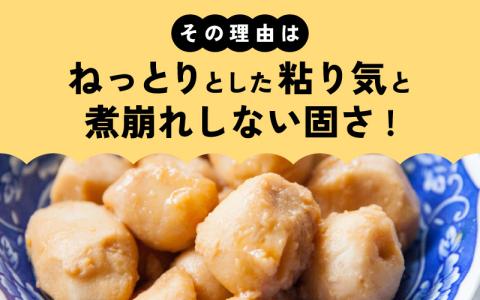 訳あり！上庄の里芋　5kg【土付】