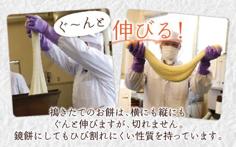 【年内配送】「杵つき白丸もちセット40個」(50g × 40個） 大野産たんちょうもち米使用【12月24日までの入金確認分は年内お届け】