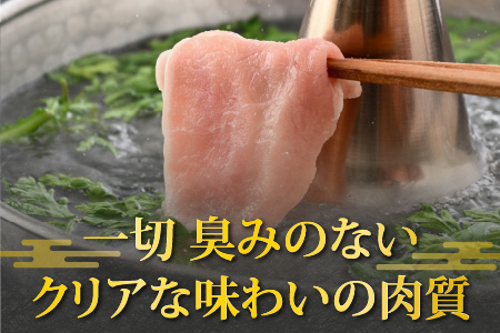 【福井のブランド豚肉】荒島ポーク食べ比べしゃぶしゃぶセット3点盛 700g[A-054001]