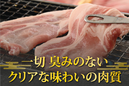 【福井のブランド豚肉】荒島ポーク ロース焼肉用　660g[A-054004]