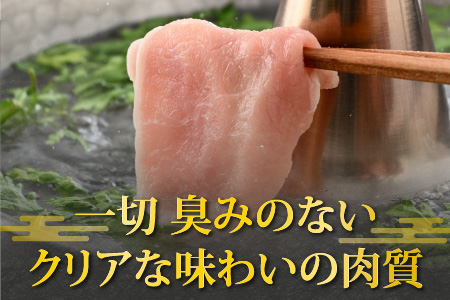 【福井のブランド豚肉】荒島ポーク ロースしゃぶしゃぶ用 660g[A-054005]