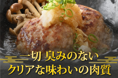 【福井のブランド豚肉】荒島ポーク 手作りハンバーグ100g×12個（計1.2kg）[A-054009]
