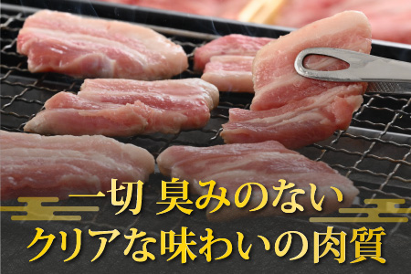 【お試しセット】【福井のブランド豚肉】荒島ポーク バラ焼肉用 340g[A-054012]