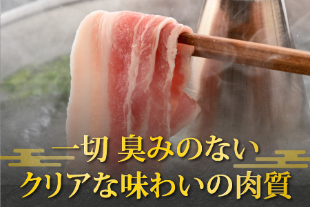 【お試しセット】【福井のブランド豚肉】荒島ポーク バラしゃぶしゃぶ用 340g[A-054013]