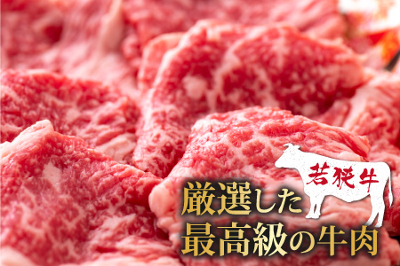 【福井のブランド牛肉】若狭牛切り落とし(モモor肩orバラ)  450g(225g×2パック)【4等級以上】[A-054015]