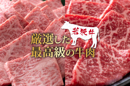 【福井のブランド牛肉】若狭牛焼肉食べ比べセット  1kg(上カルビ500g×1パック・モモ500g×1パック)【4等級以上】[E-054002]