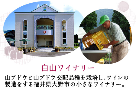 スパークリングワイン小公子＆福井梅 375ml　2本セット【数量限定】