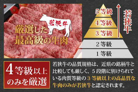 【福井のブランド牛肉＆ブランド豚肉】若狭牛と荒島ポーク 焼き肉セット 650g | 国産 食べ比べ 4等級以上 焼肉 「奇跡の豚」 お取り寄せ 冷凍 小分け 送料無料[B-054002]