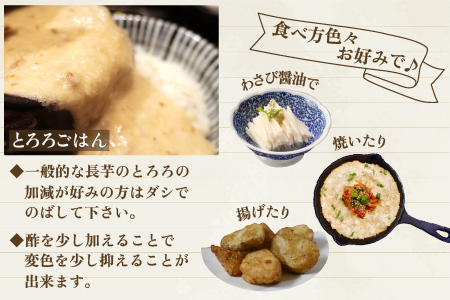 年内発送！日本百名山「自然薯　荒島岳」約600g [A-041001]