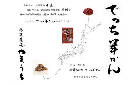 老舗和菓子店　福井県大野市冬の名物 でっち羊かん 小サイズ（約240g）× 5箱