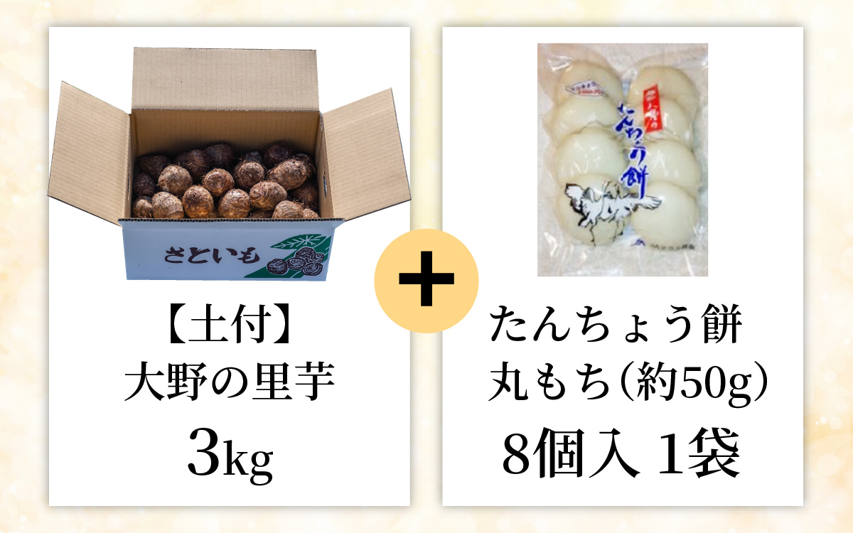 大野の里芋とたんちょう餅の詰め合わせA（里芋3kg+丸餅8個入り×1袋）【2025年11月30日より順次発送】