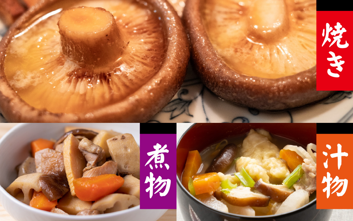 菌床肉厚しいたけ（福井県大野市産）1kg[A-003019]